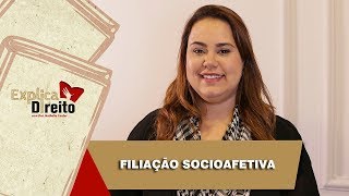 Explica Direito Filiação Socioafetiva  2019 [upl. by Ahsiyk521]