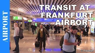 TRANSIT WALK AT FRANKFURT Airport FRA Terminal 1  Connection Flight Transfer Arriving amp Departing [upl. by Ativel]